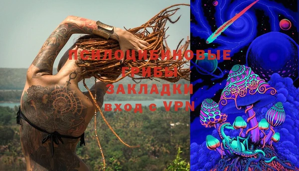 шишки Алексеевка